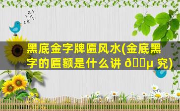 黑底金字牌匾风水(金底黑字的匾额是什么讲 🌵 究)